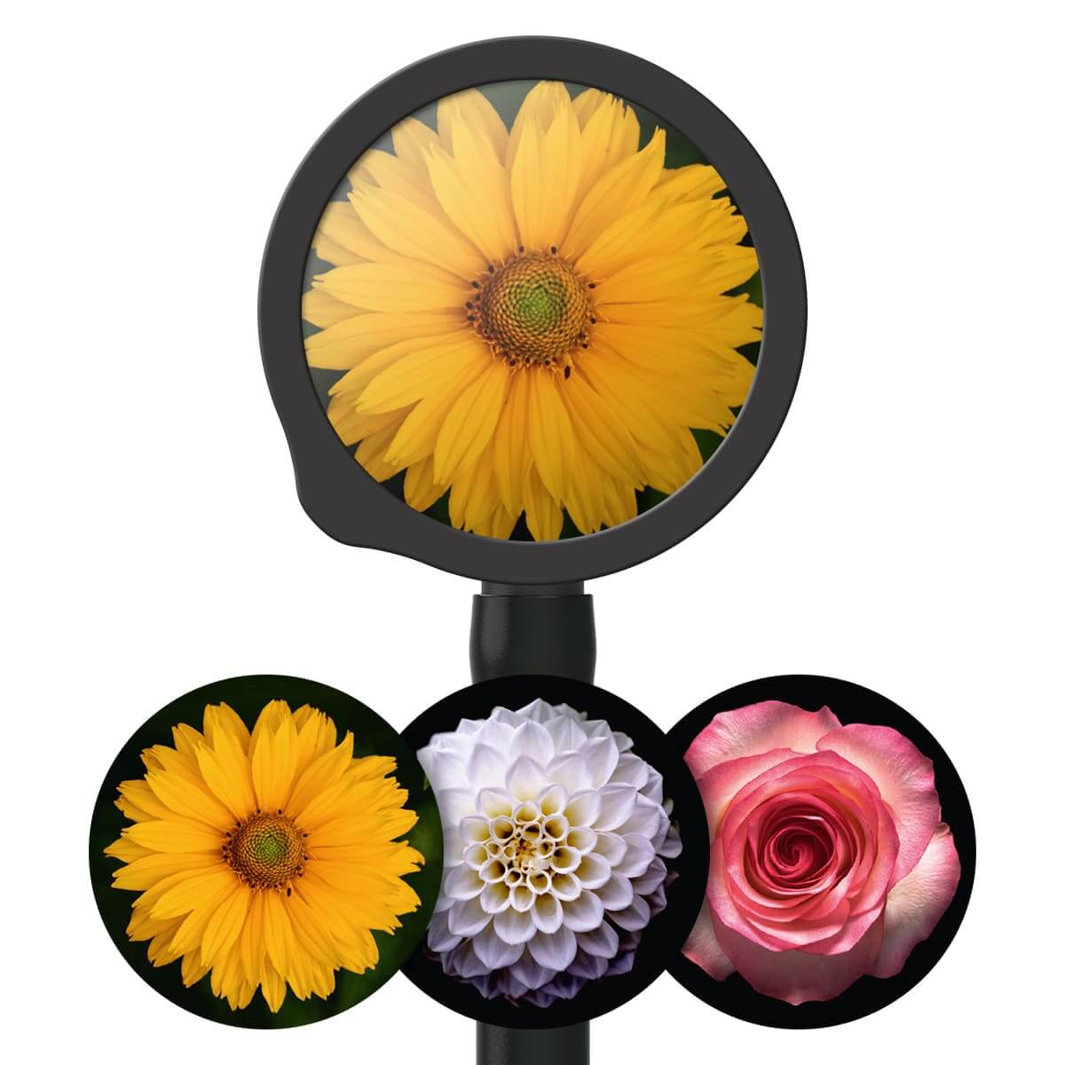 Bedruckte Fiberglas-Membransets "Drums"  Bedruckte Fiberglas-Membransets "Drums"