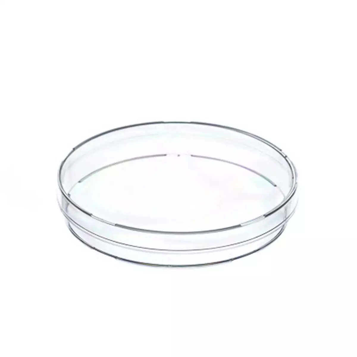  Boîtes de Petri à usage unique