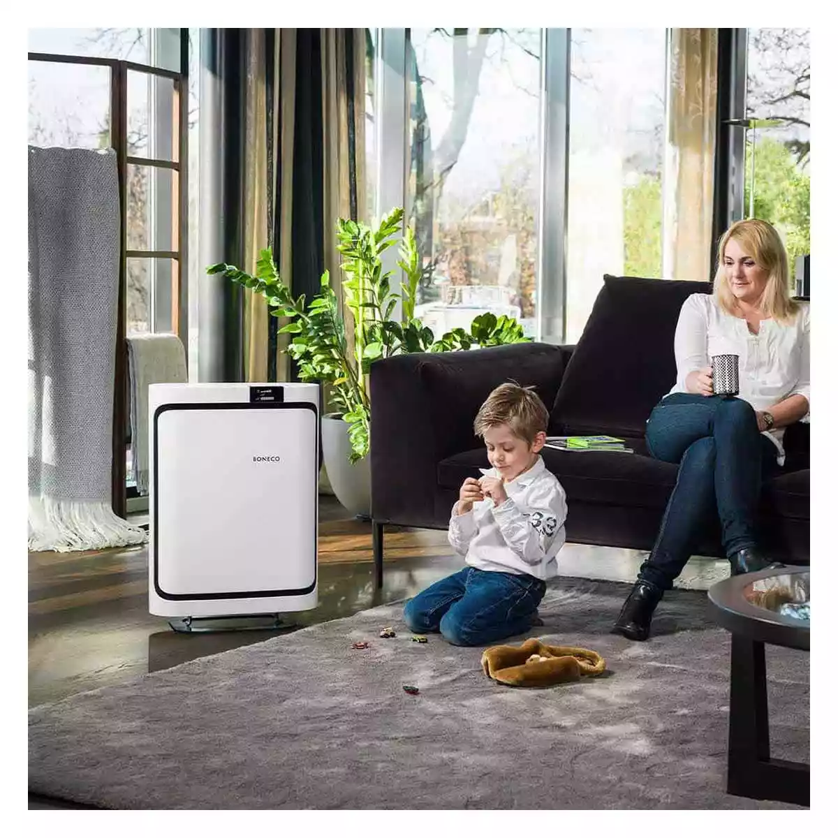 Purificateur d'air P500