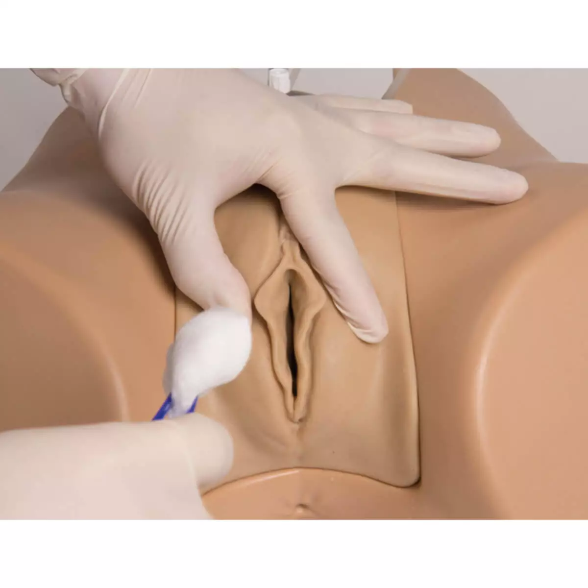  Modèle de cathétérisme trans-urétral de la vessie