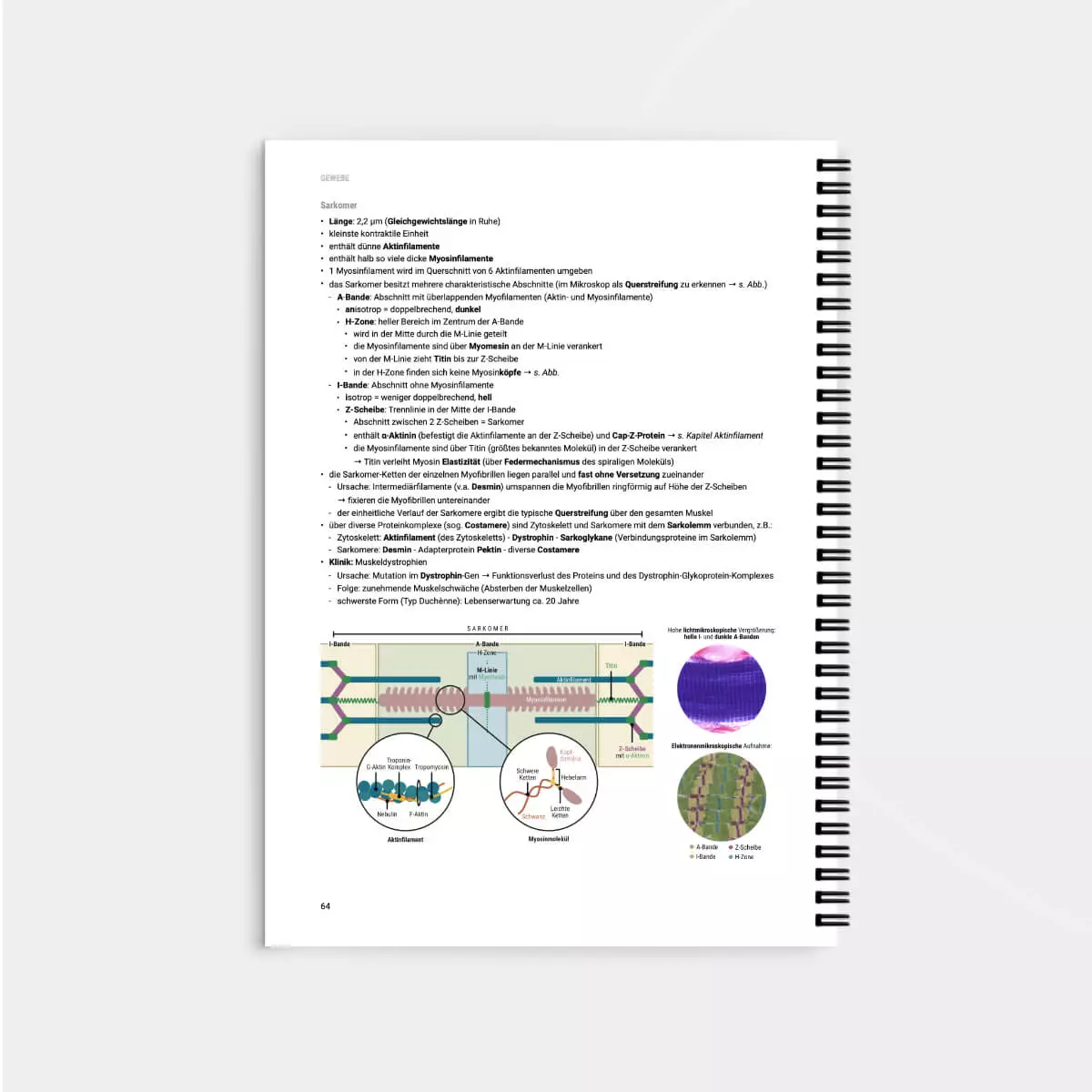  Script d’apprentissage d’histologie