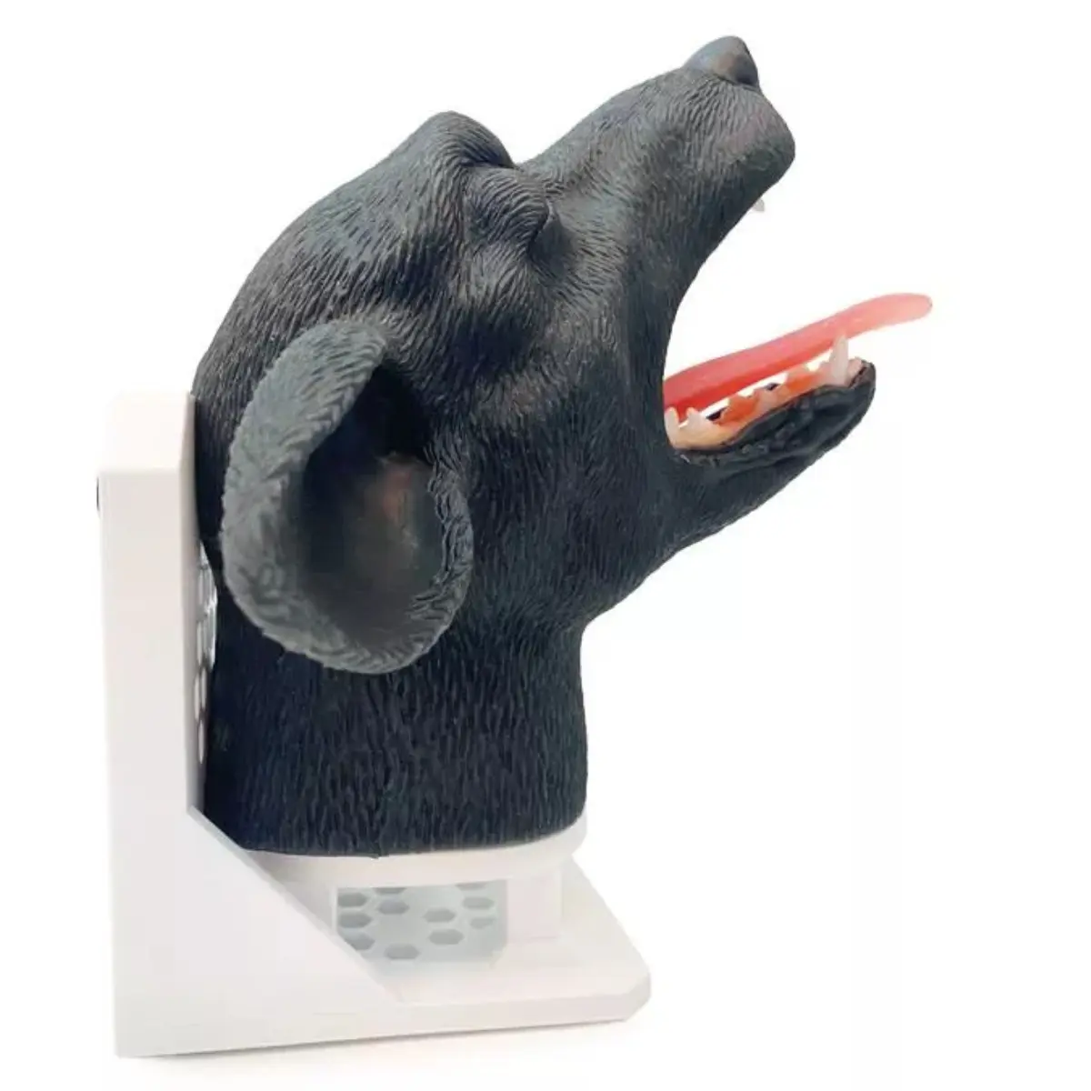  Tête d’intubation – chien