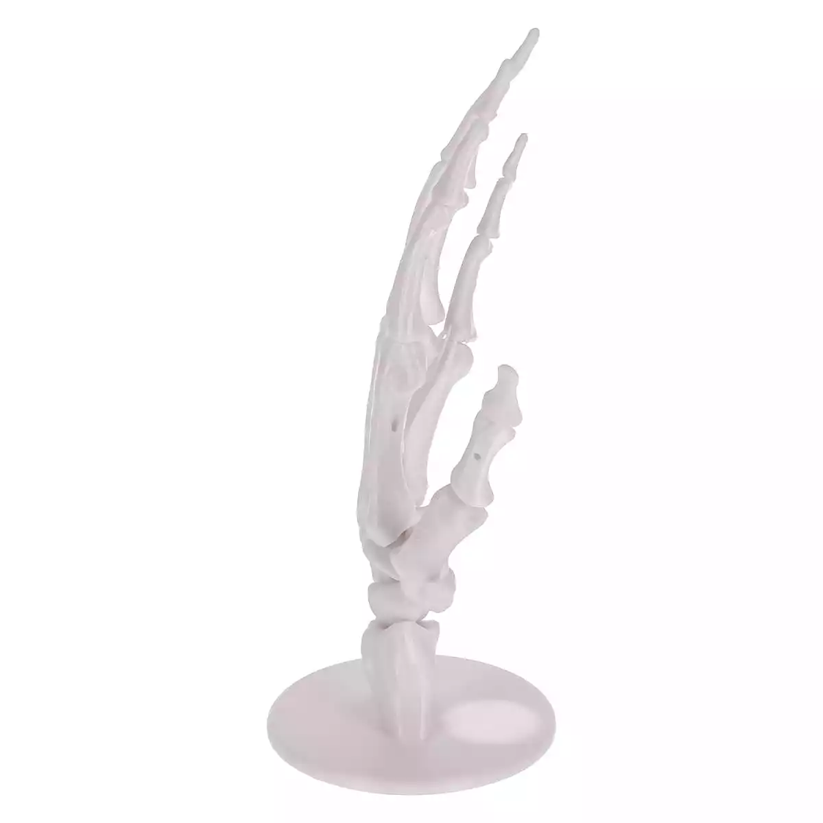  Puzzle anatomique 3D du modèle de main « Manus »