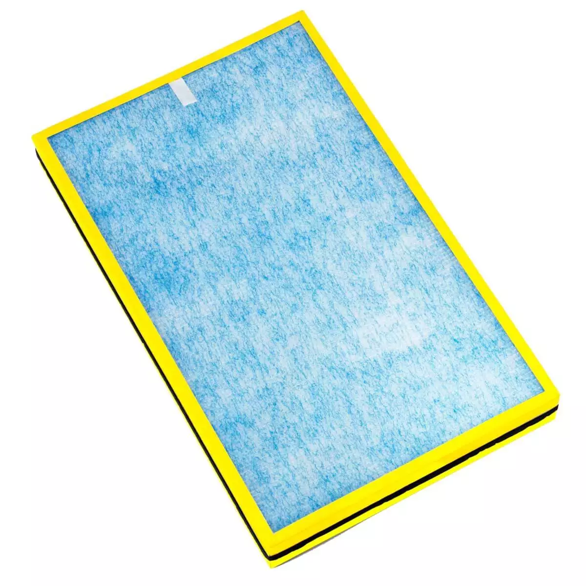  Filtre de rechange pour purificateur d'air P500