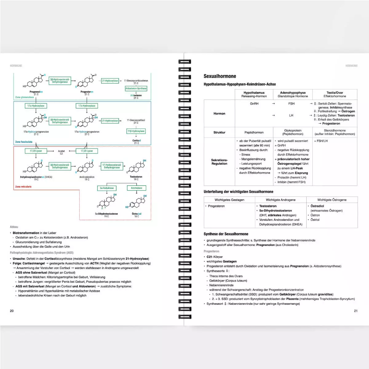  Biochemie Lernskript