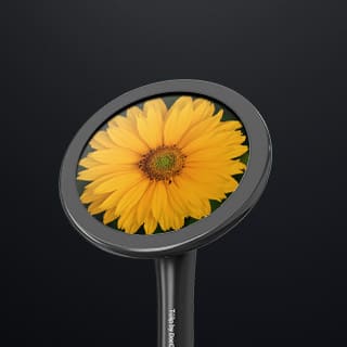 Drumsimg320x320 Drums