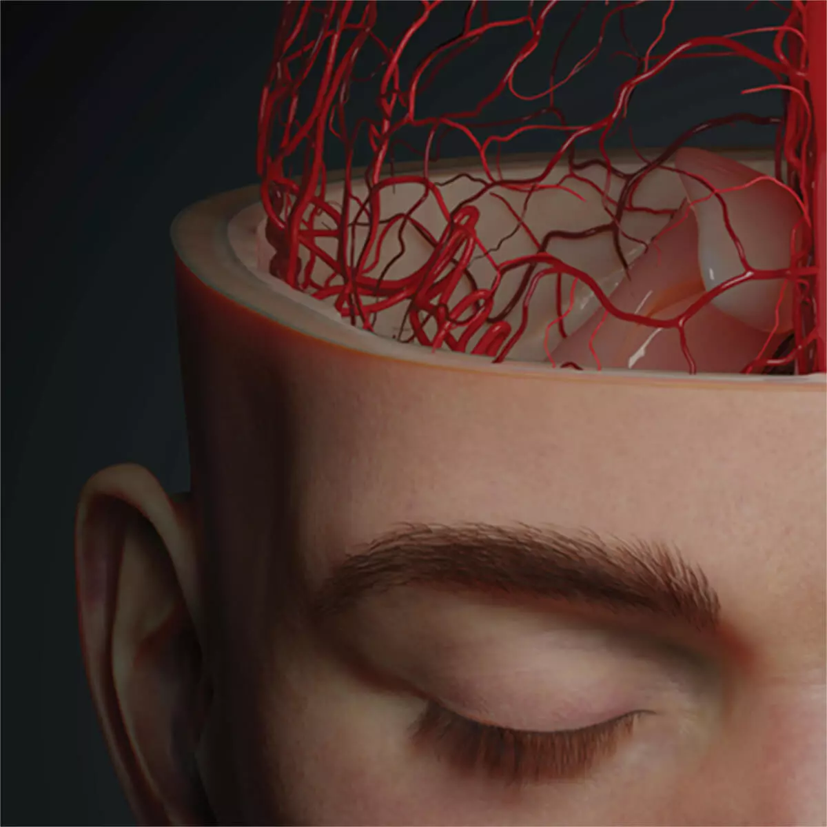  AnatomyARt Tabula Anatomica II