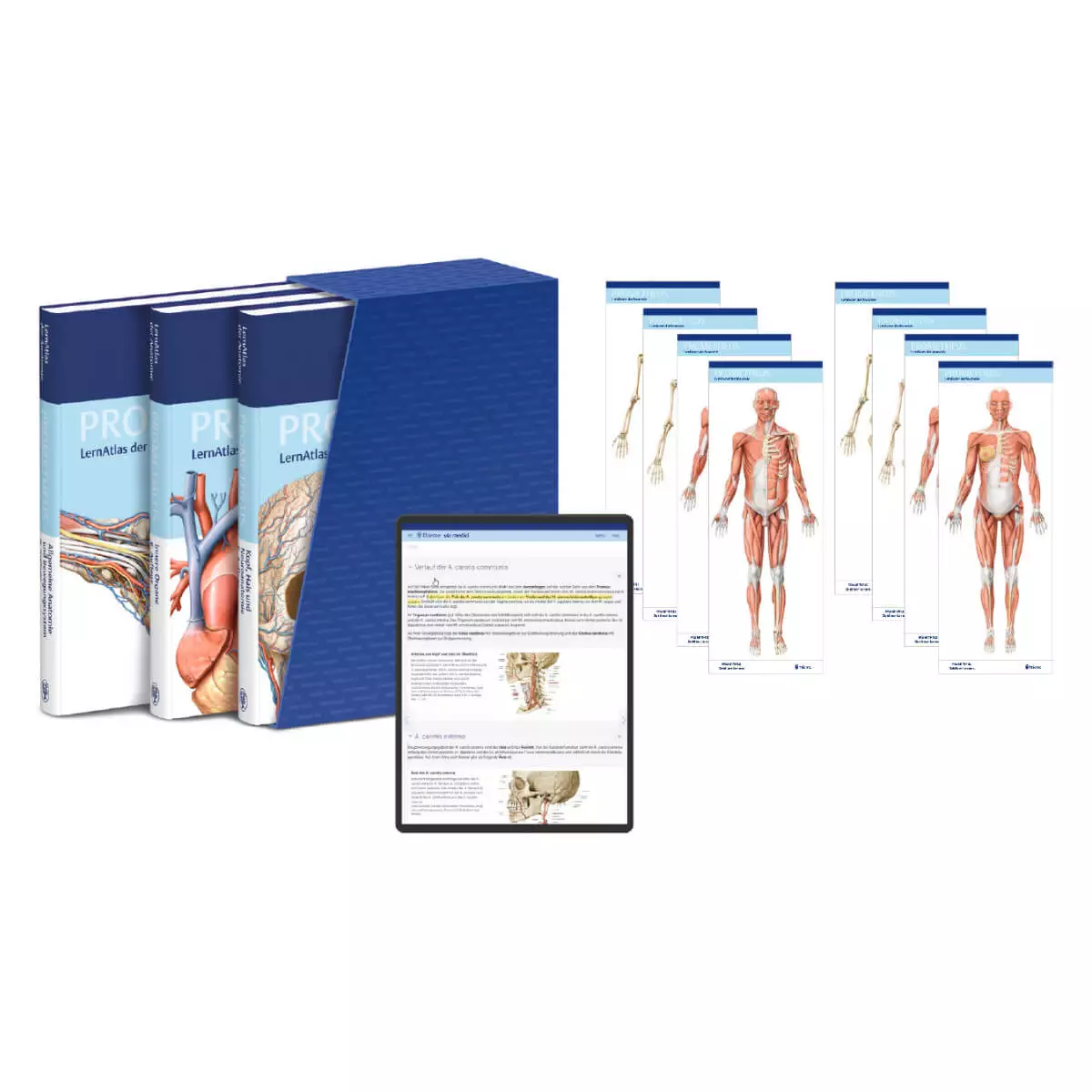  Kit d'apprentissage PROMETHEUS Anatomie