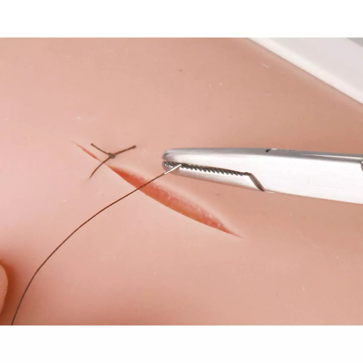  Support pour simulateur pour suture