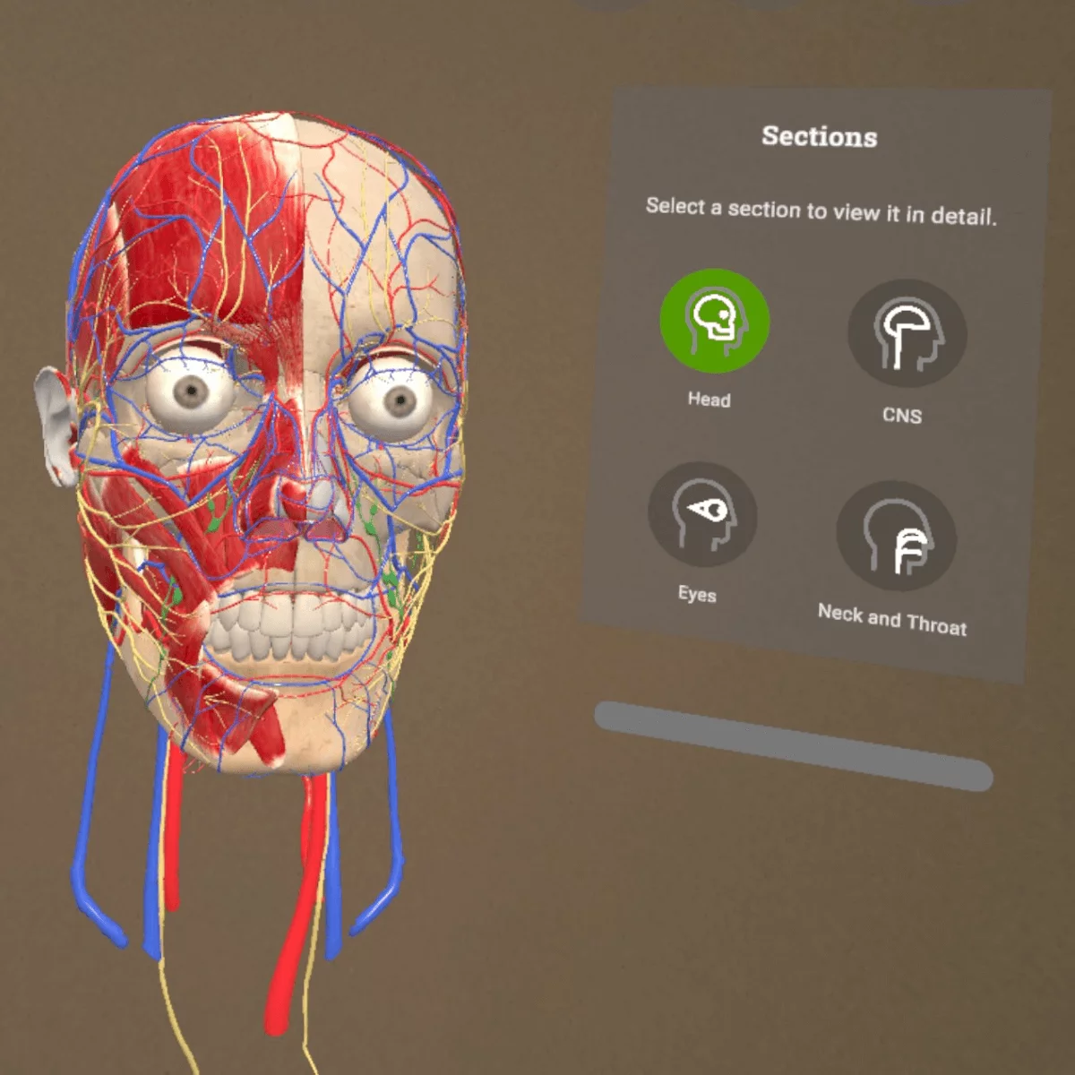 Application d’anatomie en réalité mixte « Corpus » pour Meta Quest 3/3S