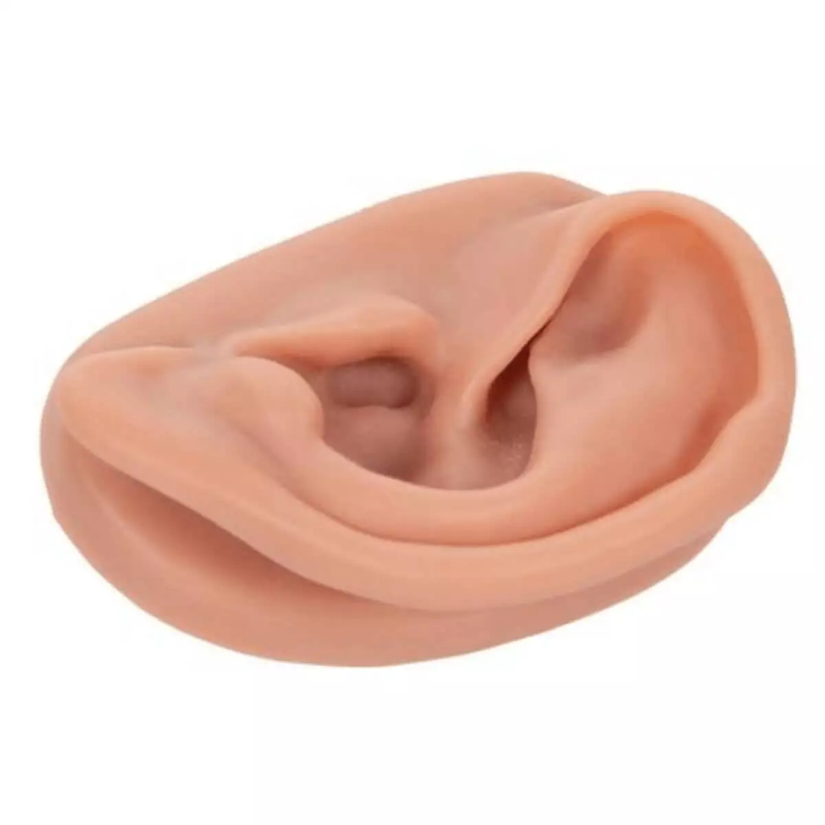  Modèle d'acupuncture de l'oreille