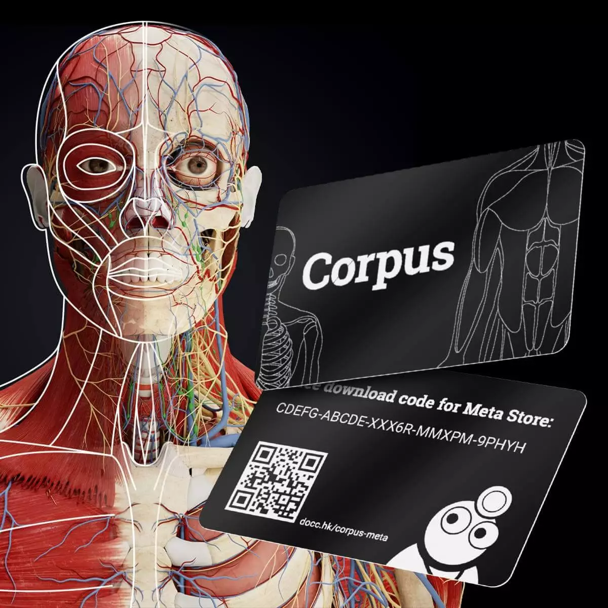  Application d’anatomie en réalité mixte « Corpus » pour Meta Quest 3/3S