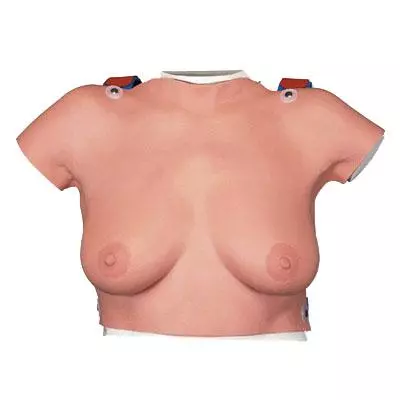  Modèle de palpation mammaire