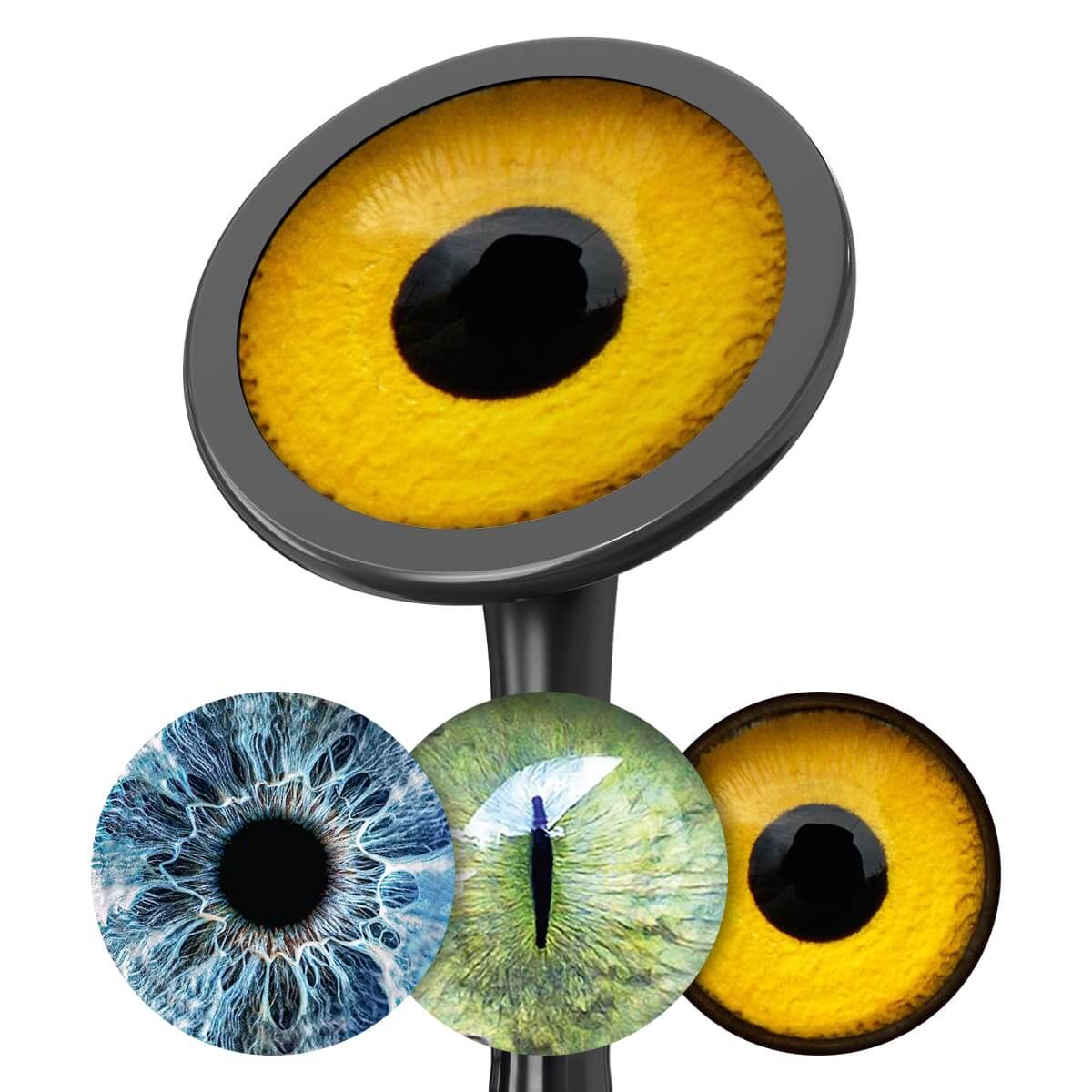 Bedruckte Fiberglas-Membransets "Drums"  Bedruckte Fiberglas-Membransets "Drums"