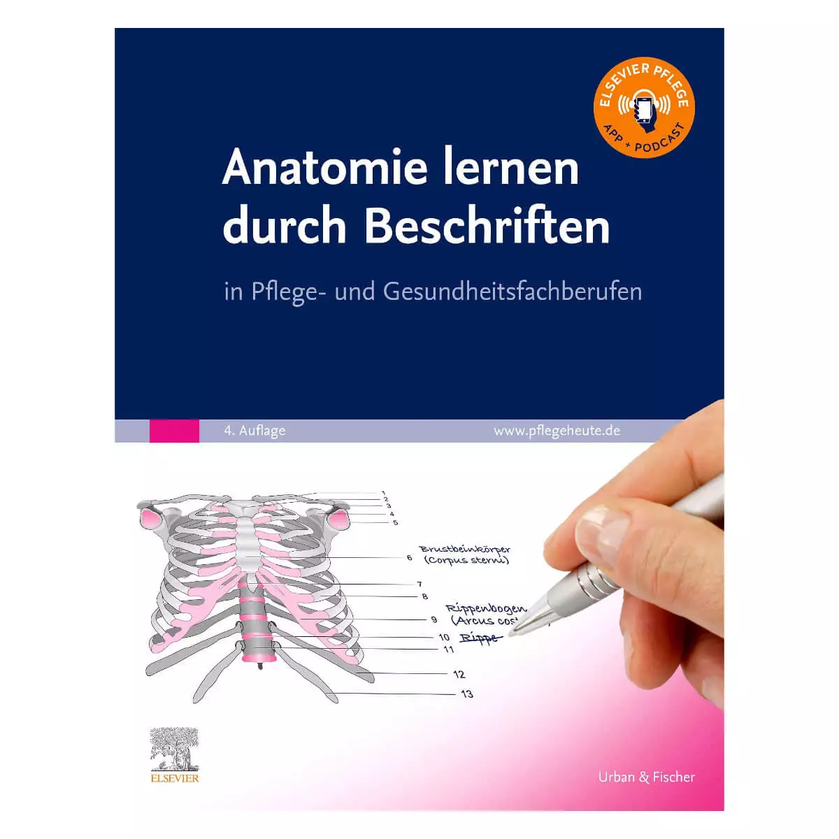  Apprendre l’anatomie en annotant