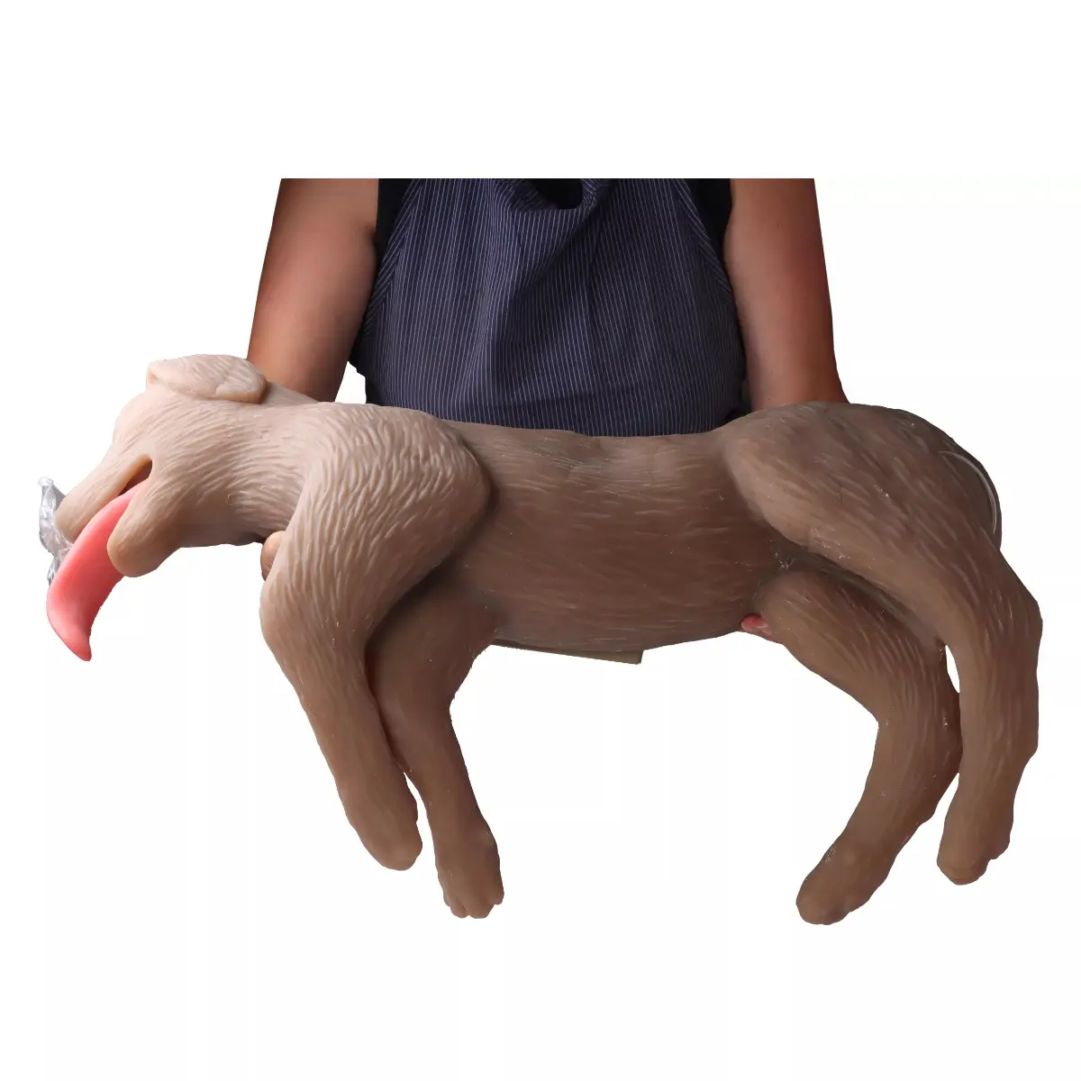 Mannequin de réanimation chez le chien « CooPeR » Mannequin de réanimation chez le chien « CooPeR »