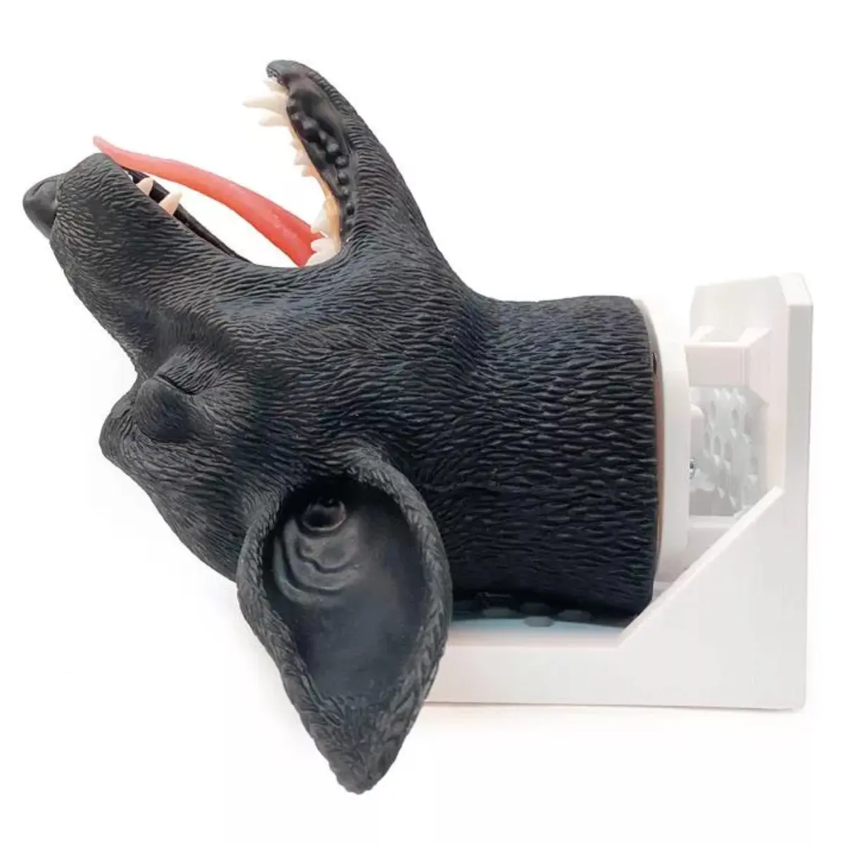  Tête d’intubation – chien