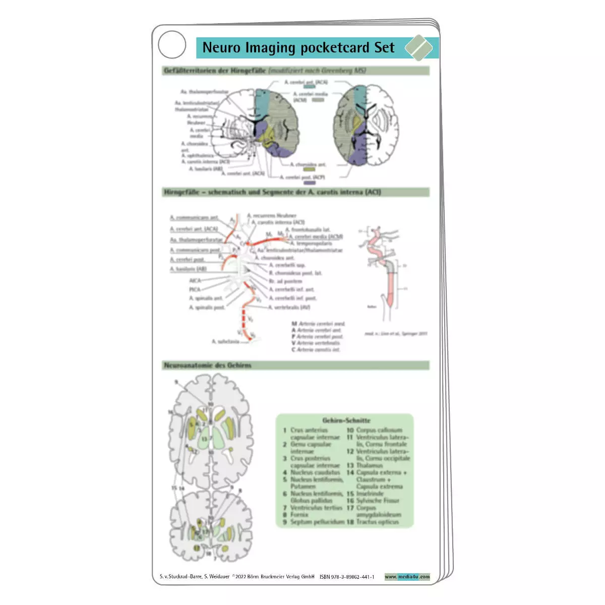  Set de cartes pocketcard – Neuro-imagerie