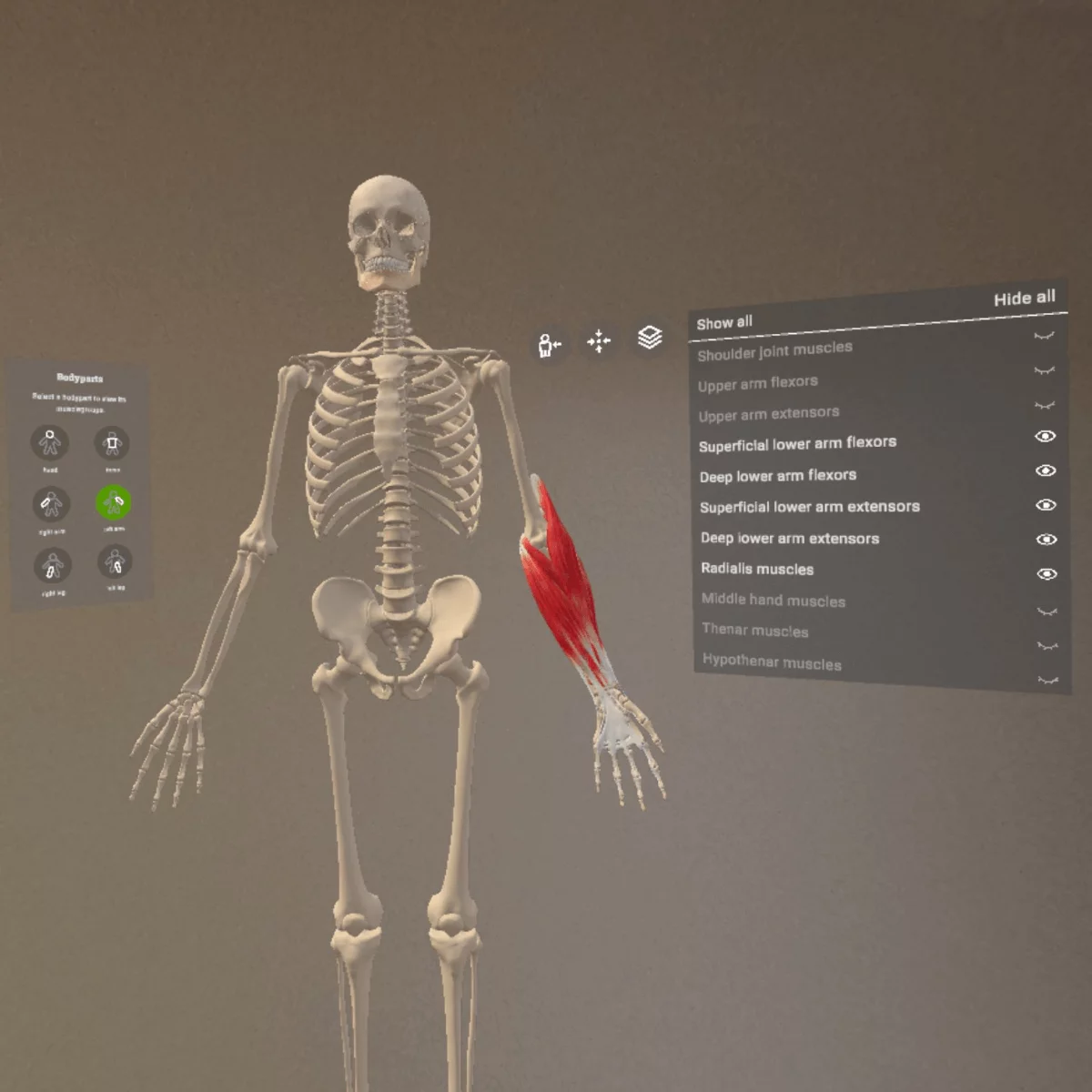  Application d’anatomie en réalité mixte « Corpus » pour Meta Quest 3/3S