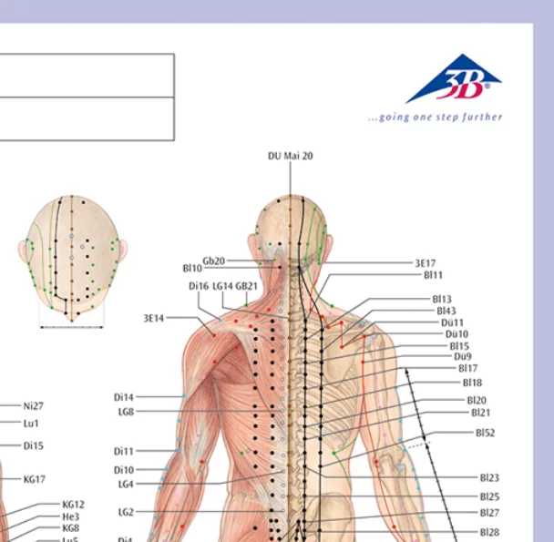  Bloc-notes méridien d'acupuncture