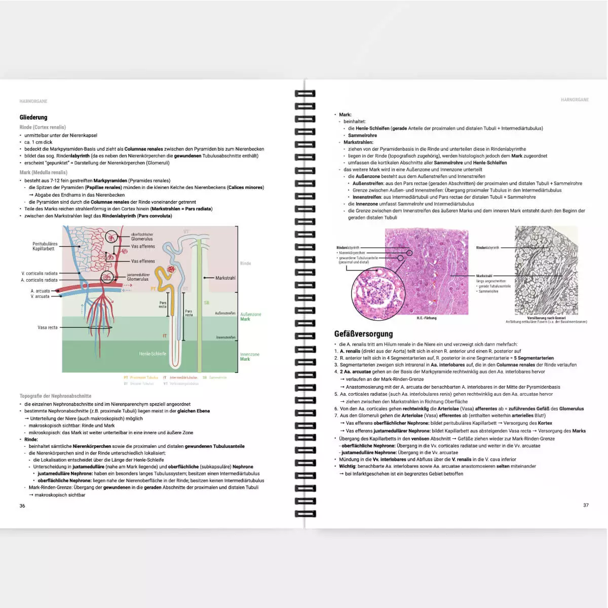  Histologie Lernskript