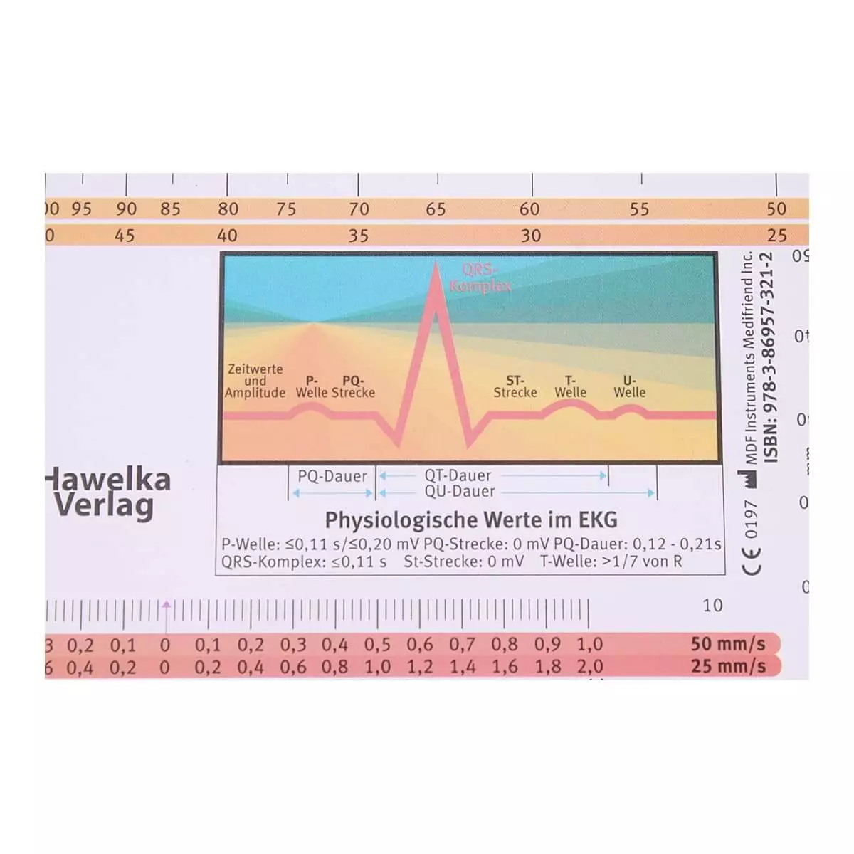  EKG-Lineal professional II
