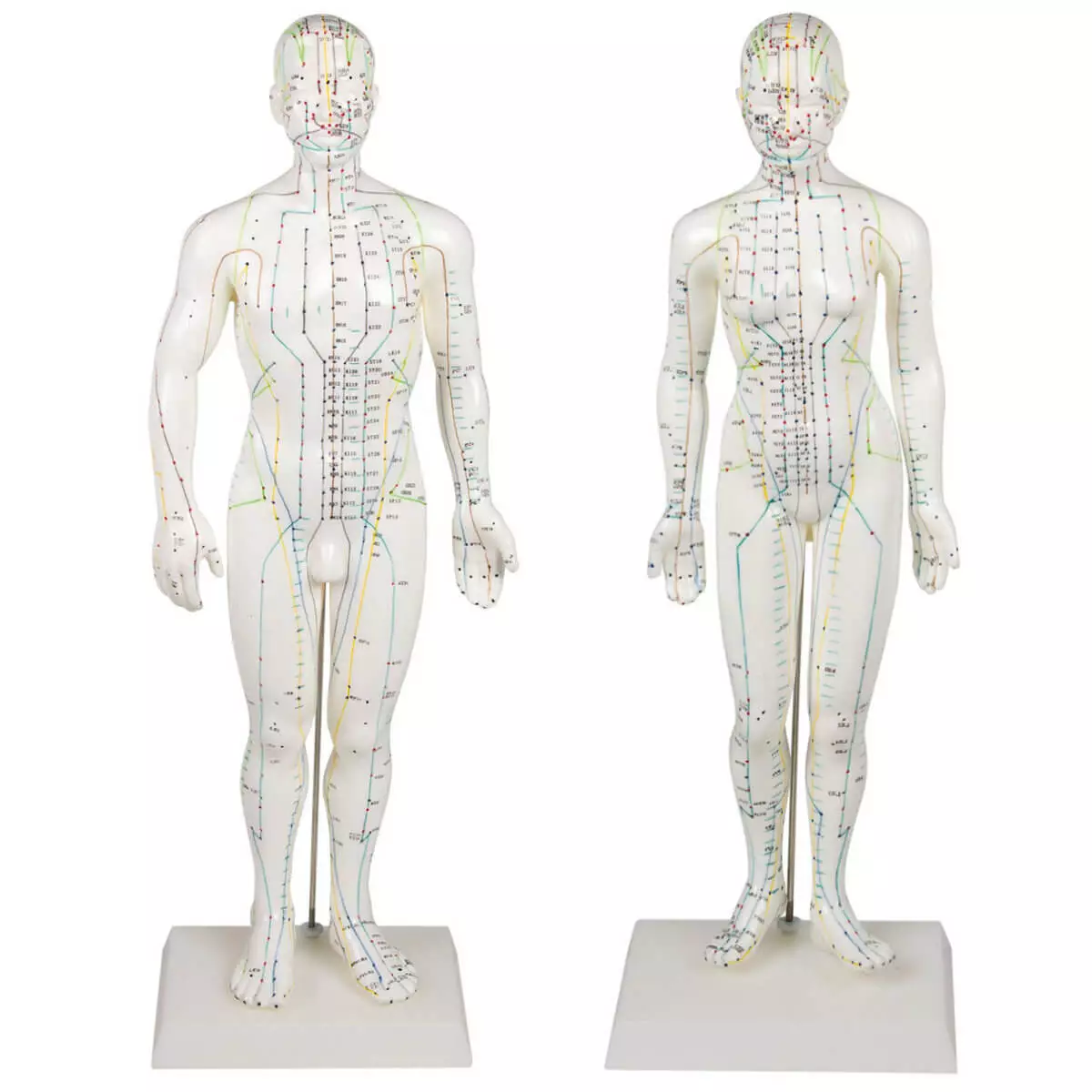  Figure d'acupuncture