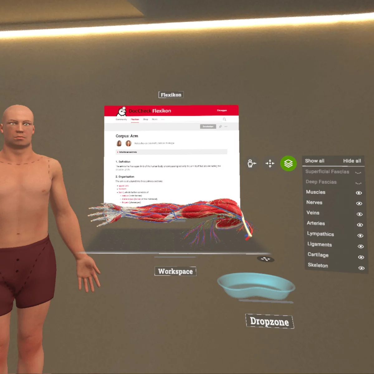  Application d’anatomie en réalité mixte « Corpus » pour Meta Quest 3/3S