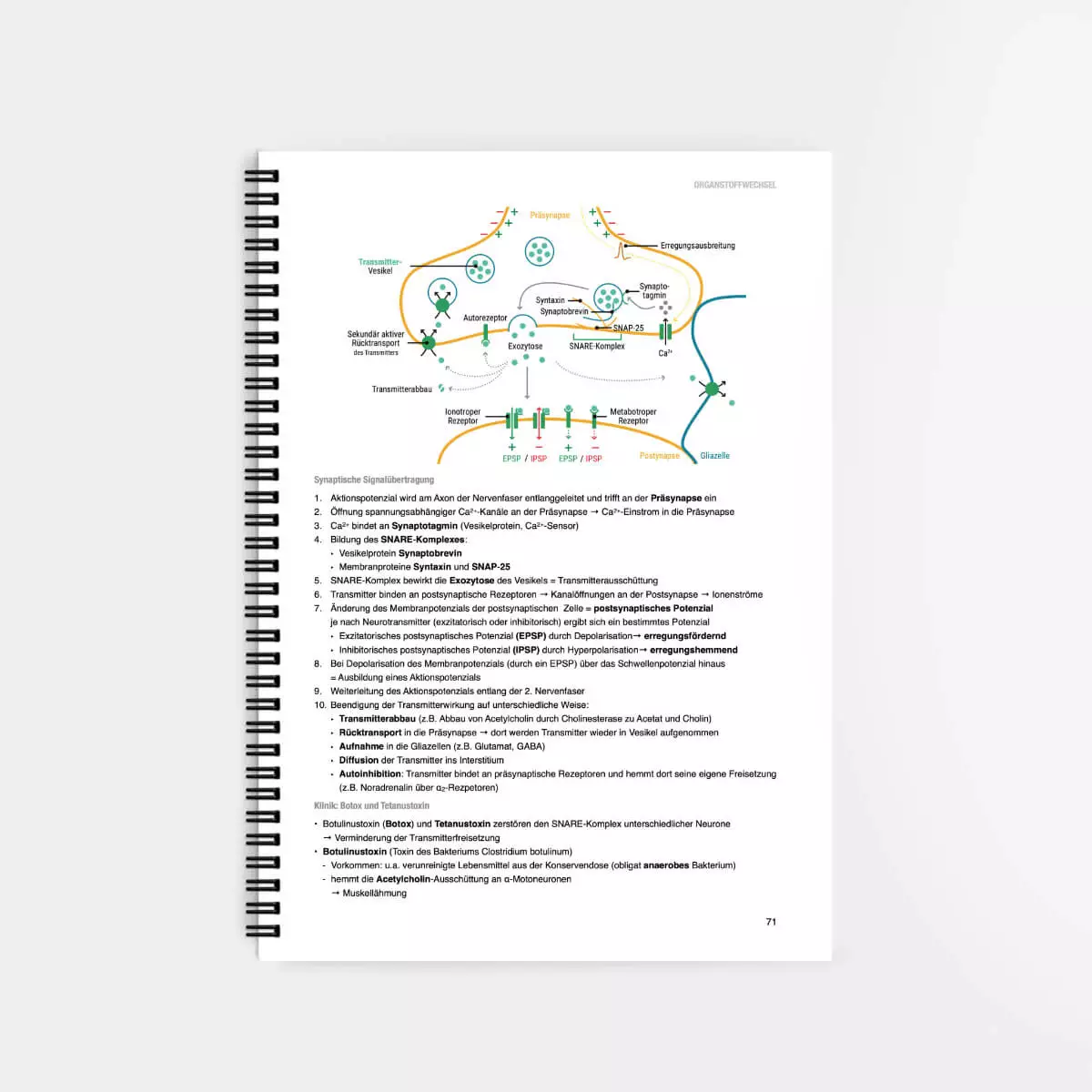  Biochemie Lernskript
