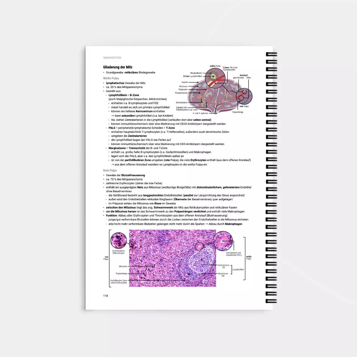  Script d’apprentissage d’histologie