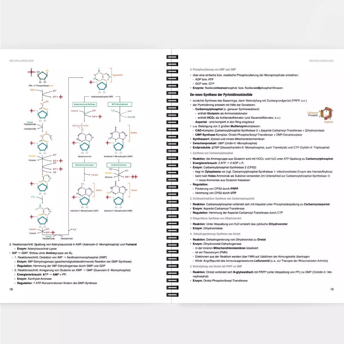  Script d’apprentissage de biochimie