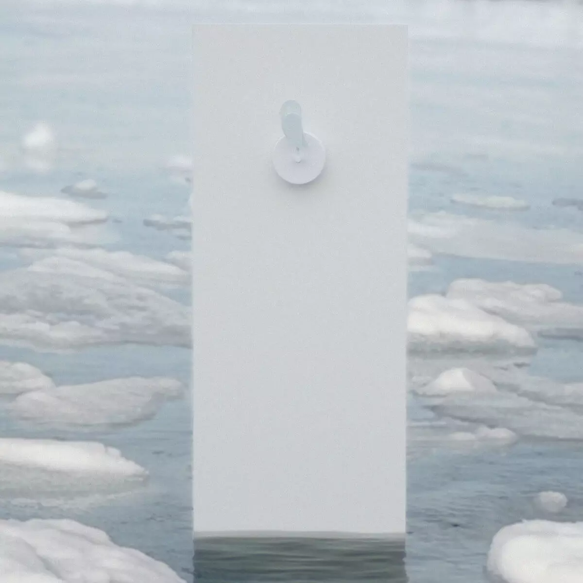 Birdie 2.0 Luftqualitätssensor Birdie 2.0 Luftqualitätssensor