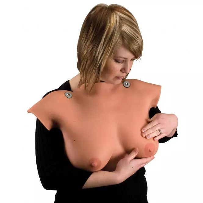  Modèle de palpation mammaire