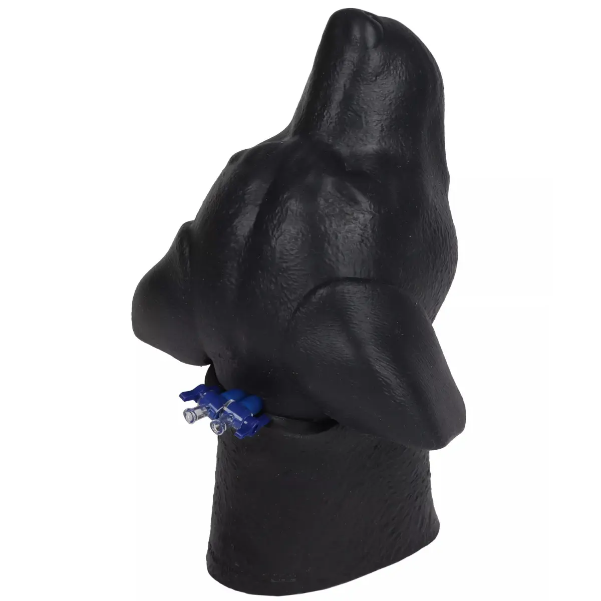 Tête d'entraînement pour ponction veine jugulaire – chien Tête d'entraînement pour ponction veine jugulaire – chien