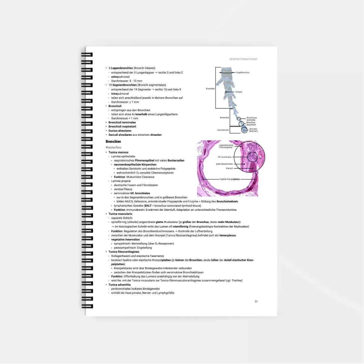  Histologie Lernskript
