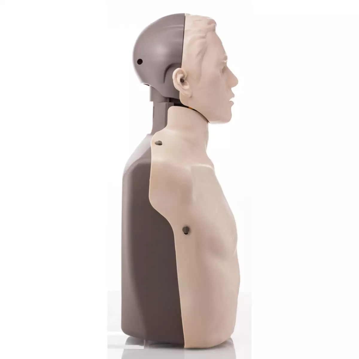  Mannequin de formation à la RCP BRAYDEN Basic