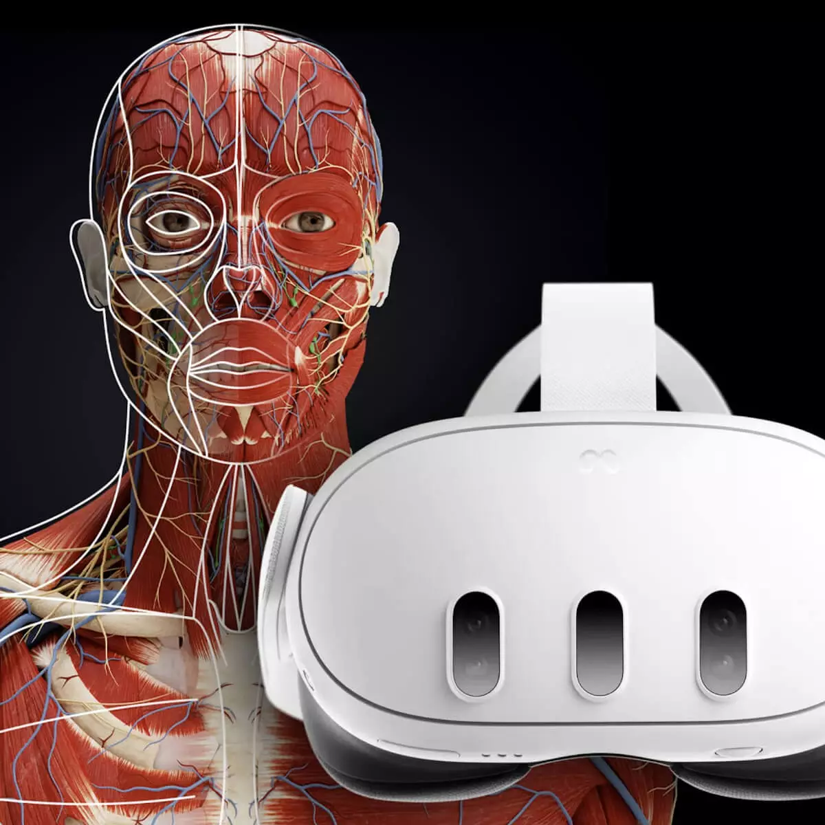  Application d’anatomie en réalité mixte « Corpus » pour Meta Quest 3/3S