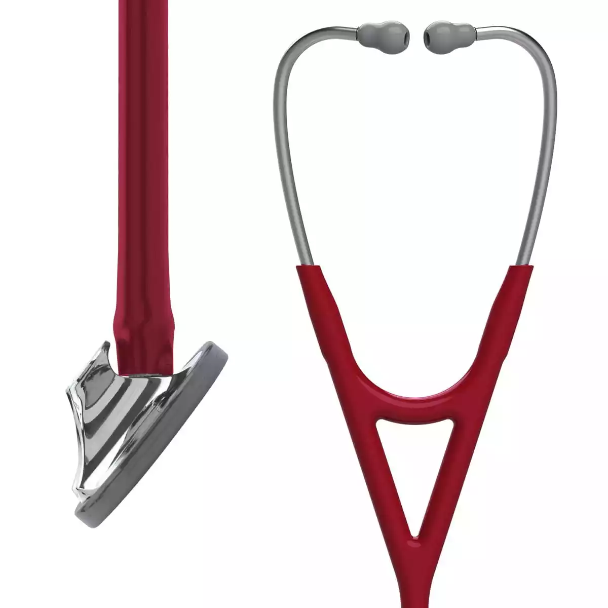  Stéthoscope Master Cardiology