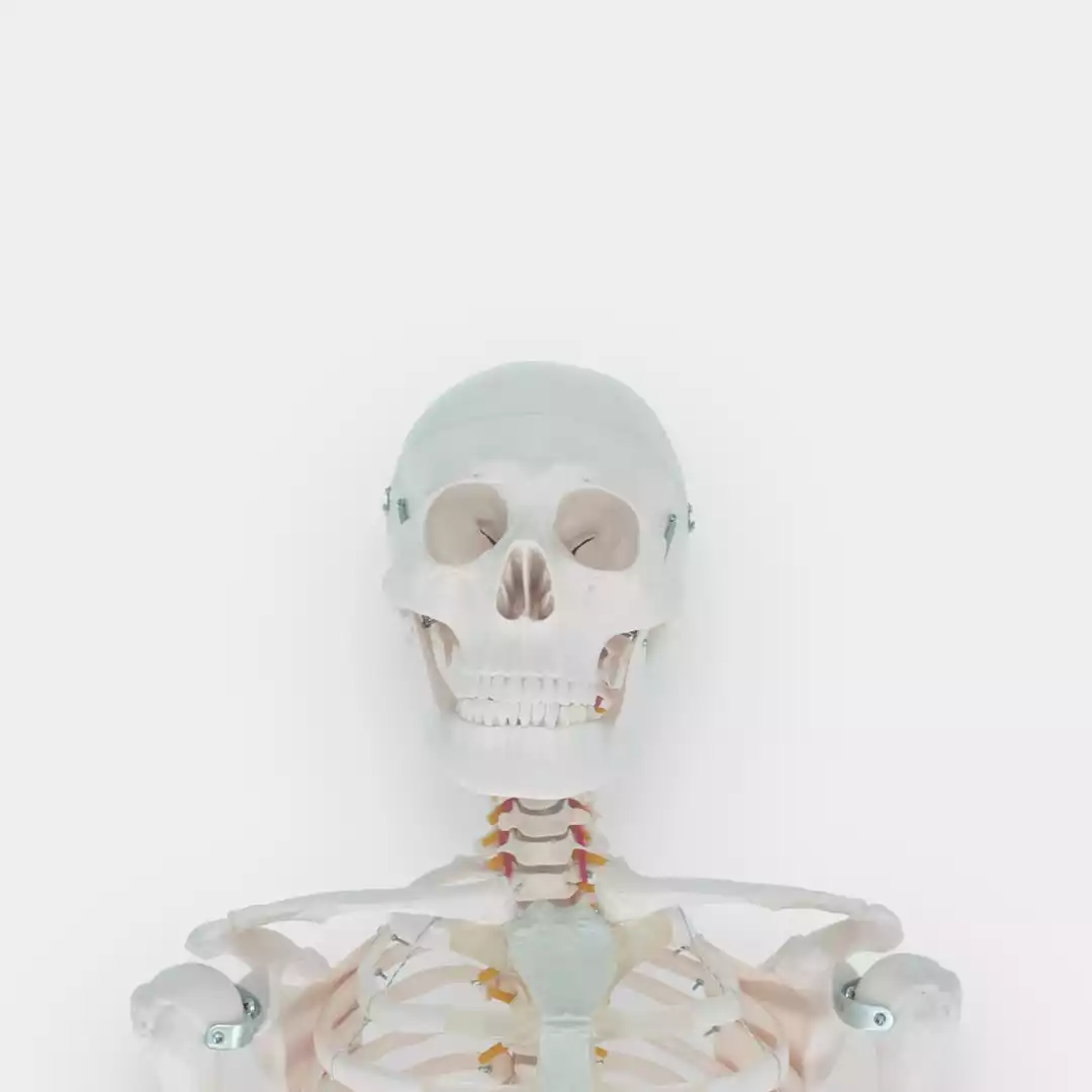 4er 1080x1080 Skelette