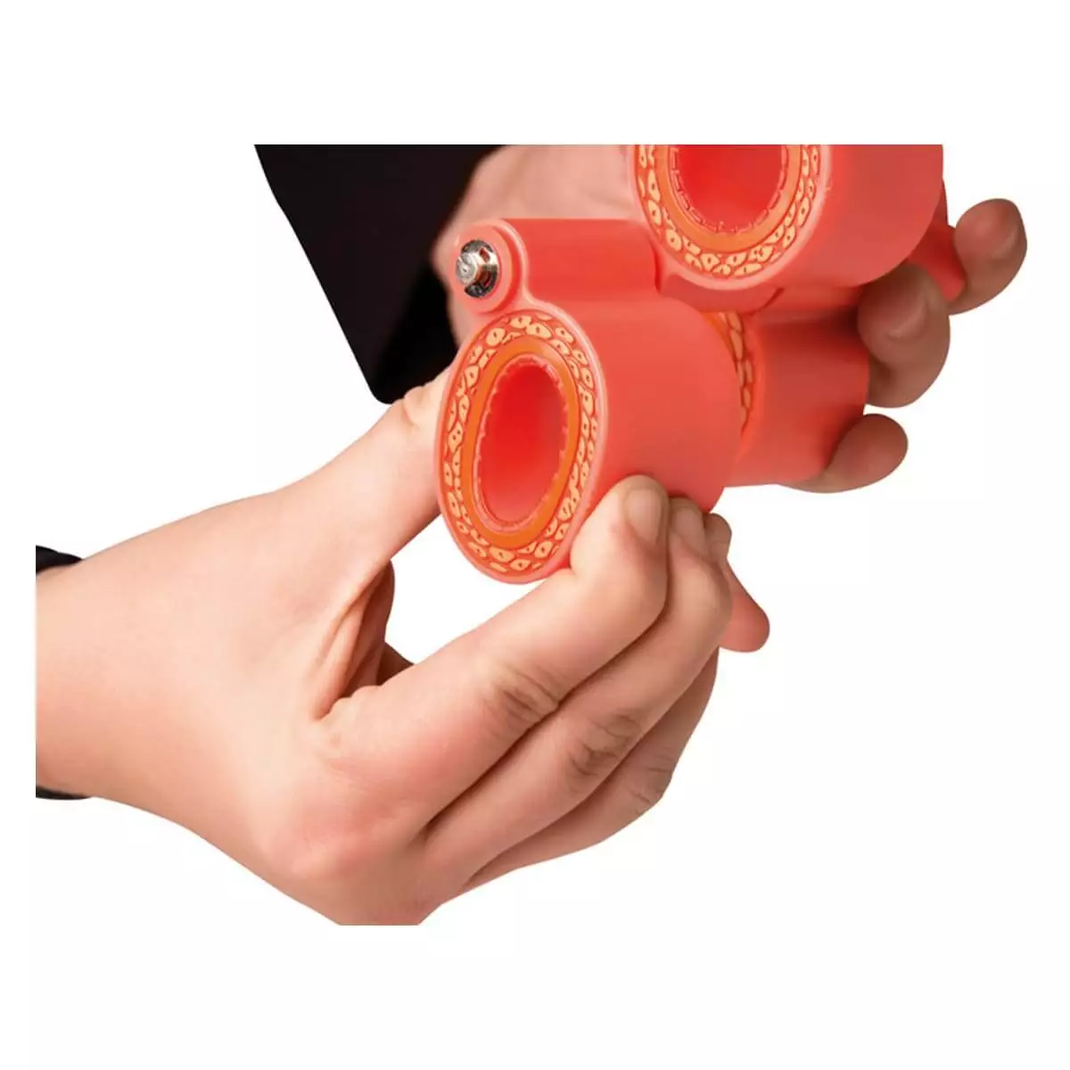  Arteriosklerosemodell