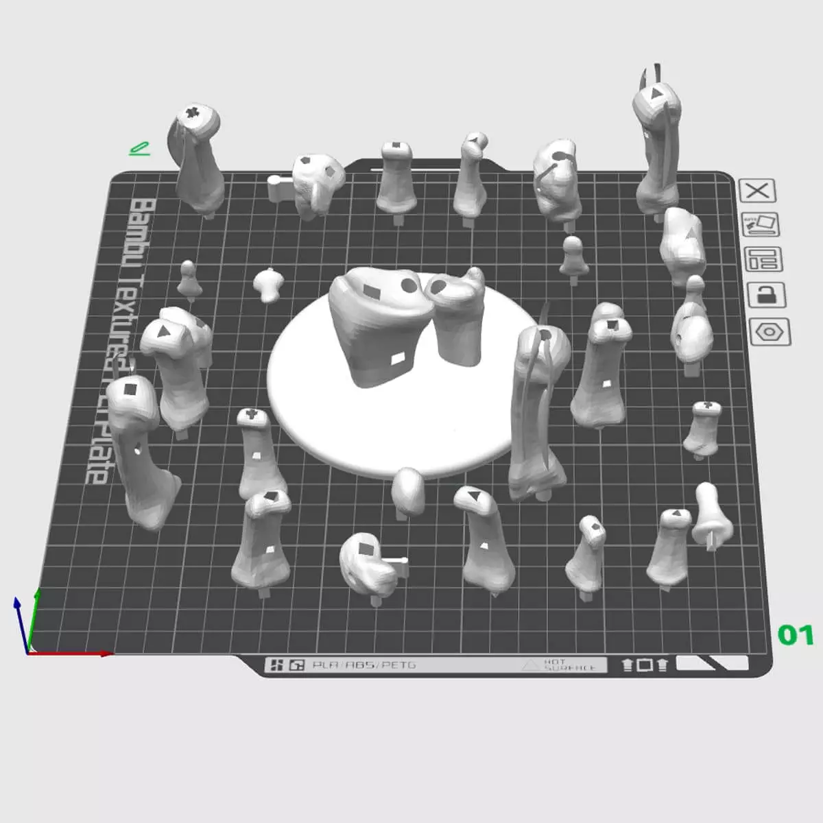  Puzzle anatomique 3D du modèle de main « Manus »