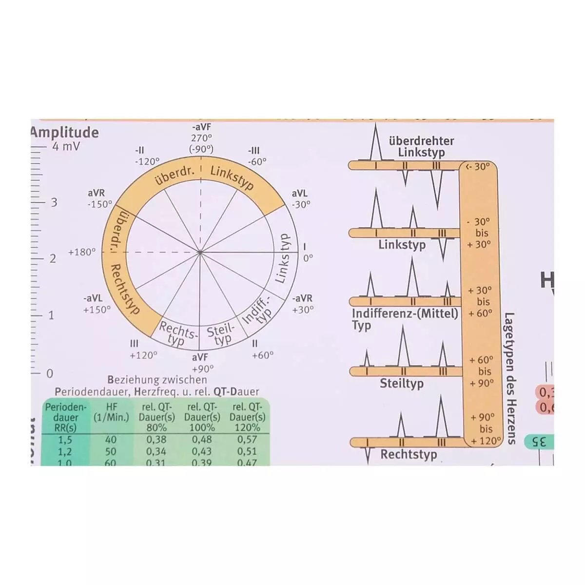  EKG-Lineal professional II