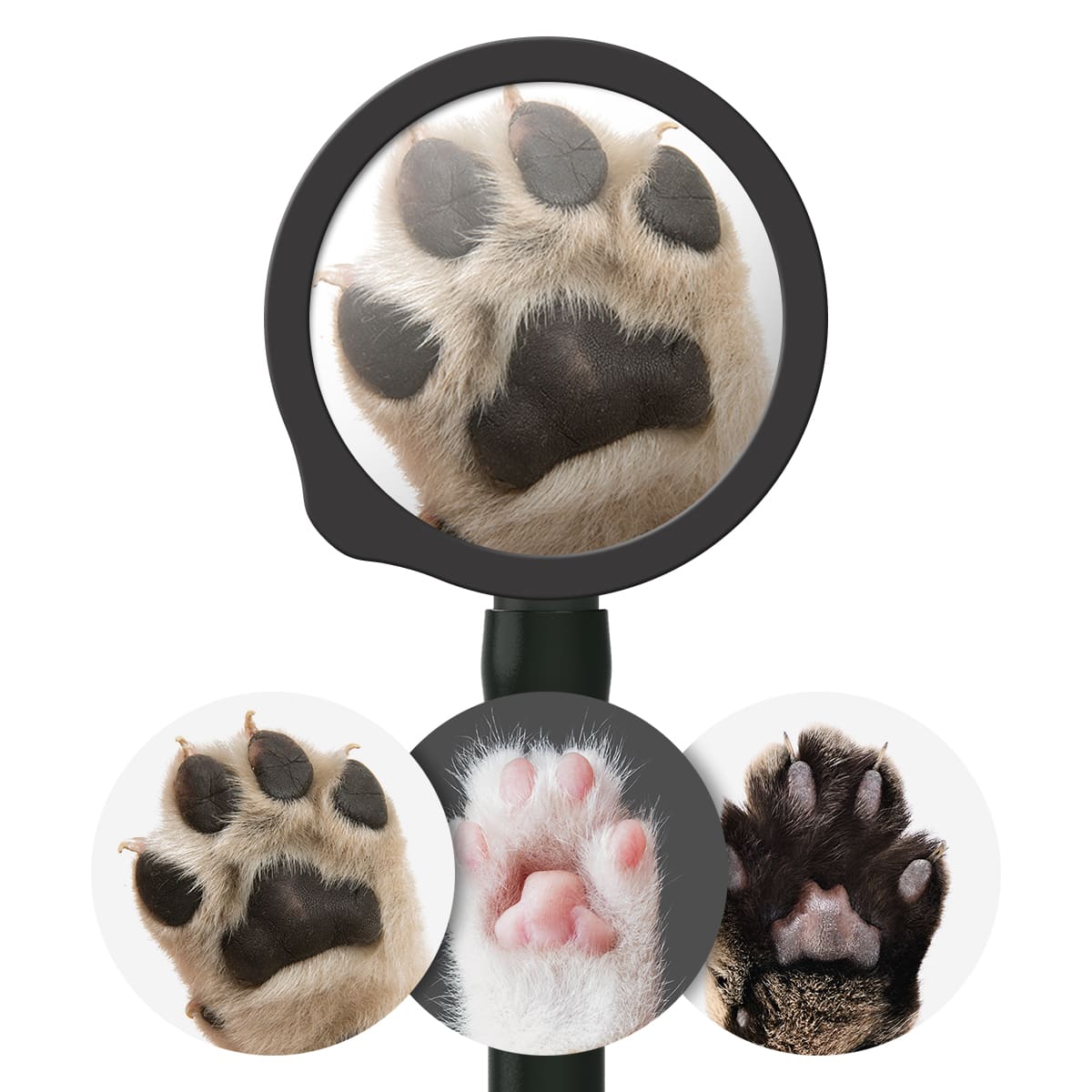 Bedruckte Fiberglas-Membransets "Drums"  Bedruckte Fiberglas-Membransets "Drums"