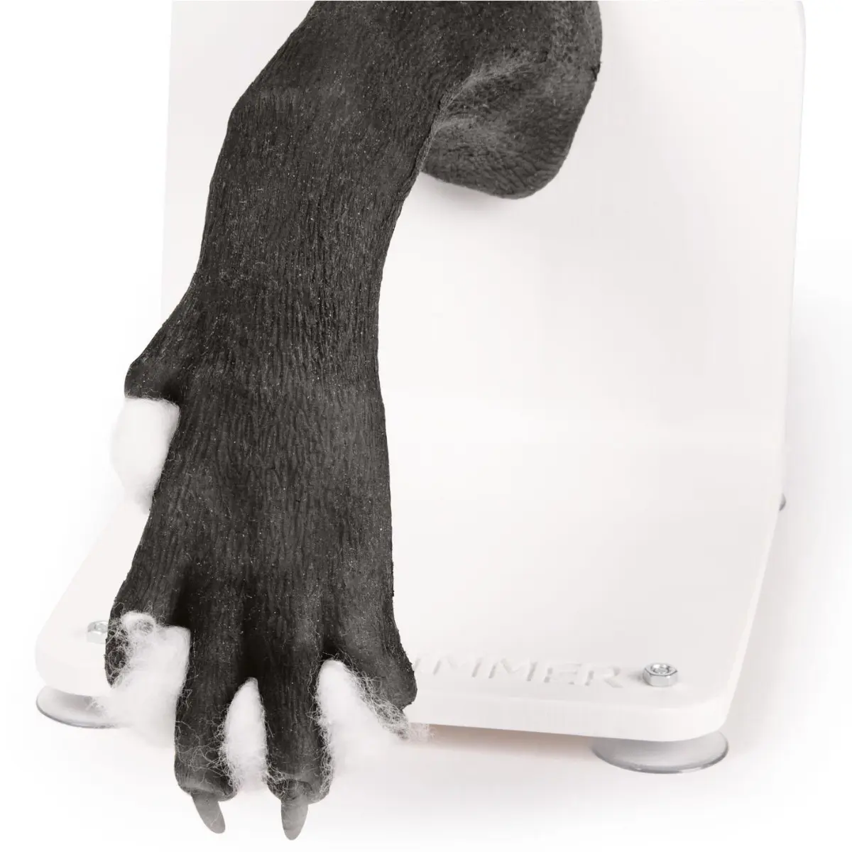 Entraîneur à la mise de bandage – patte de chien