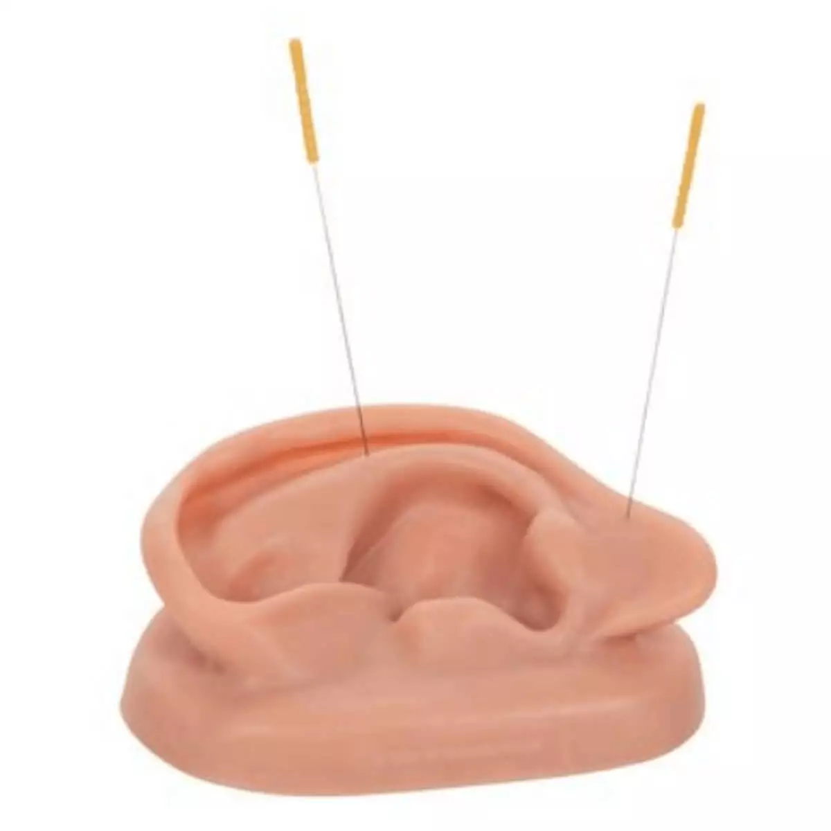  Modèle d'acupuncture de l'oreille