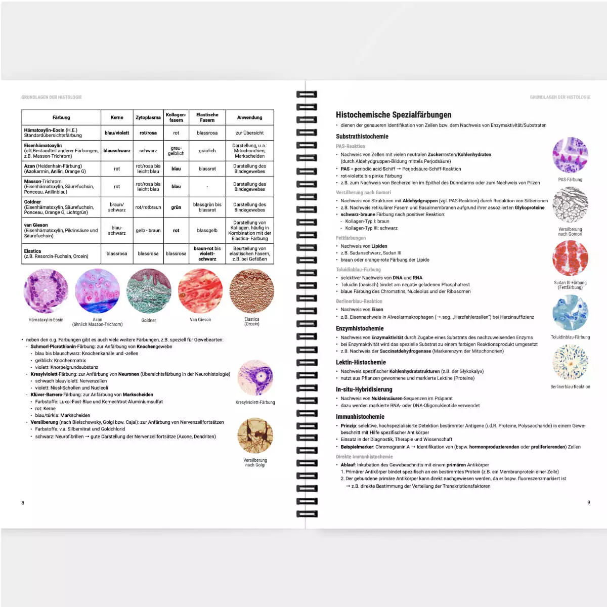  Script d’apprentissage d’histologie