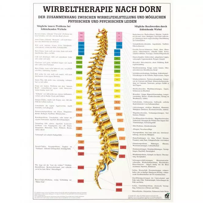 Tableau didactique - Thérapie vertébrale selon Dorn
