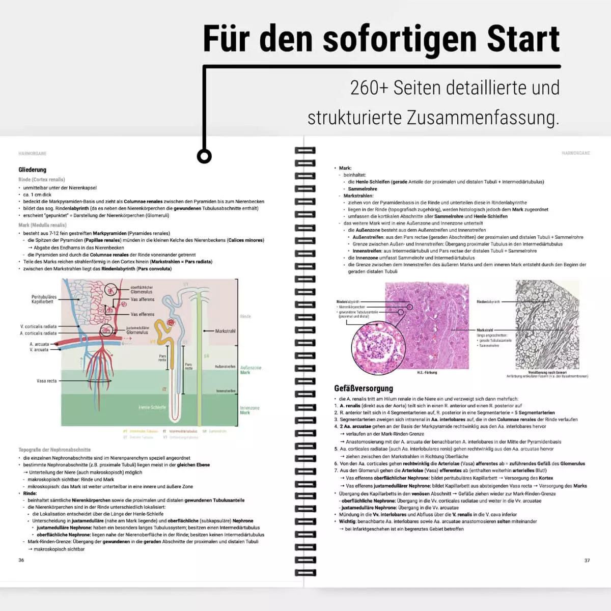  Script d’apprentissage d’histologie