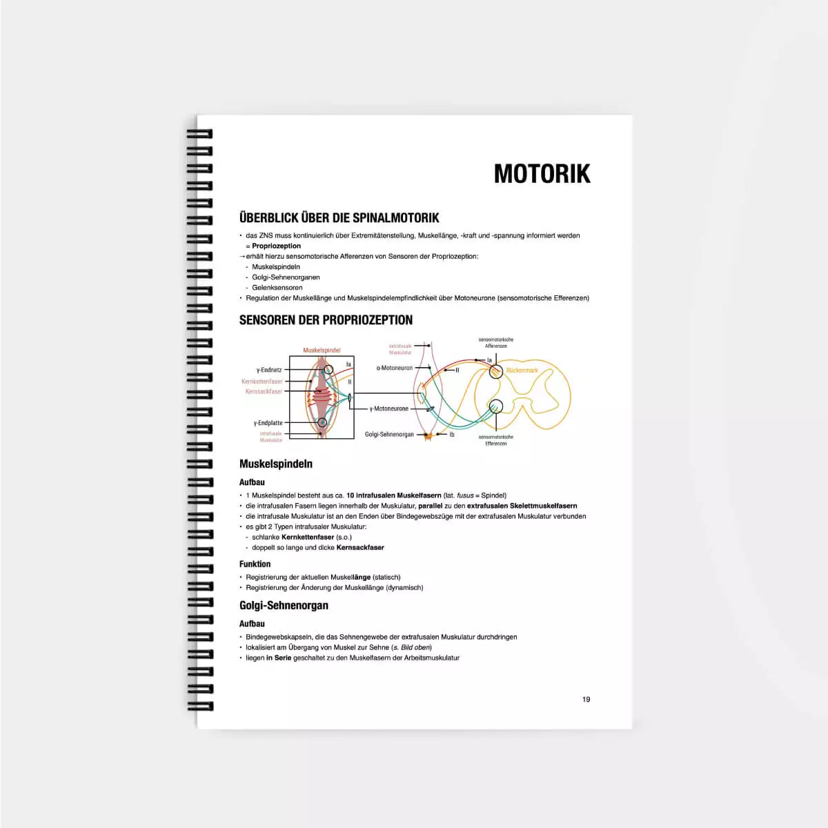  Physiologie Lernskript