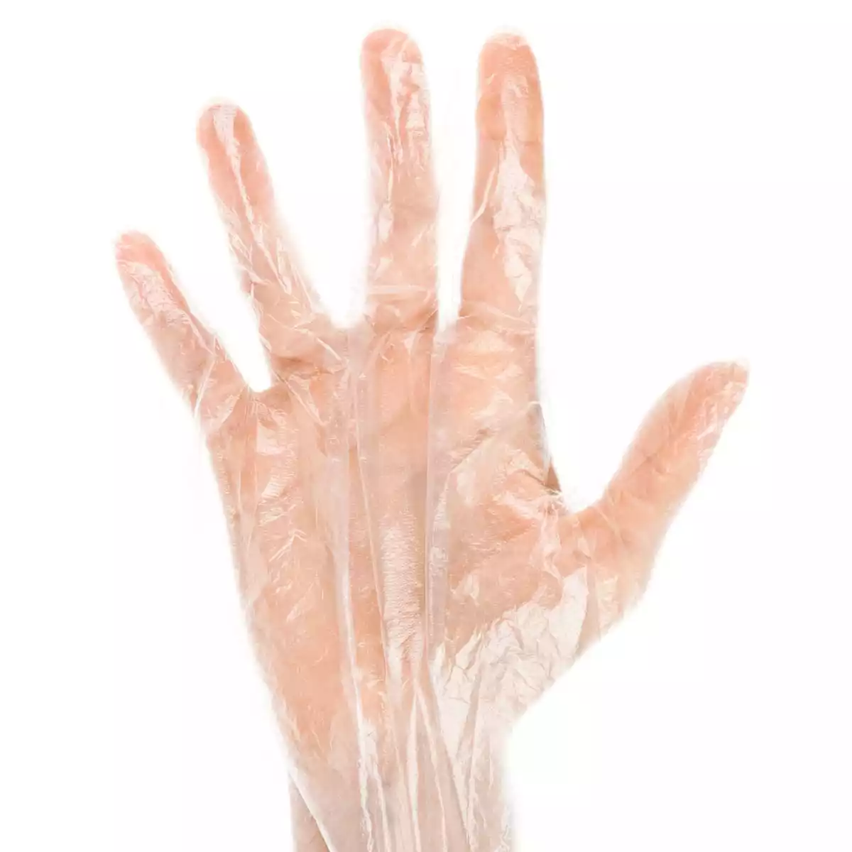  PE-Handschuhe